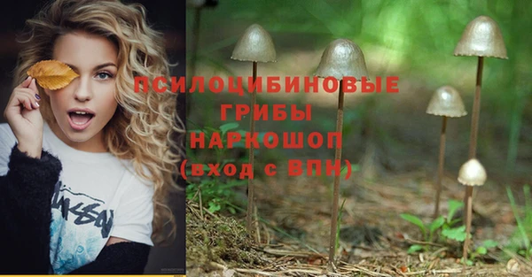 Альфа ПВП Краснослободск